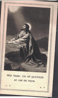 2404-01k Rufina Lugghe - Vandenbossche Roeselare 1881 - 1942 - Imágenes Religiosas