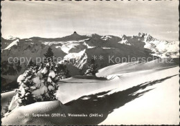 11878488 Tannenbodenalp Spitzmeilen Weissmeilen Tannenbodenalp - Sonstige & Ohne Zuordnung