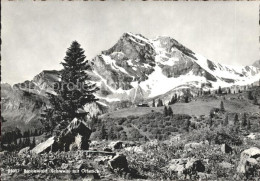 11878321 Braunwald GL Mit Ortstock Braunwald - Autres & Non Classés