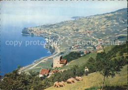 11878241 Lavaux VD   - Autres & Non Classés