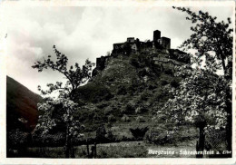 Burgruine Schreckenstein A. Elbe - Tschechische Republik