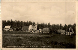 Oberbärenburg - Hinterer Ortsteil - Altenberg