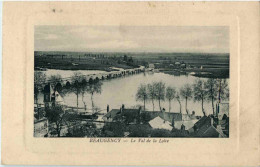 Beaugency - Le Vul De La Loire - Beaugency