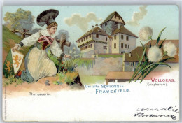 51293606 - Frauenfeld - Altri & Non Classificati