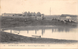 62-CALAIS-ROUTE DE SANGATTE LES SALINES-MOUTONS-N°2046-D/0077 - Calais