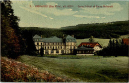 Hohwald - Grand Hotel - Autres & Non Classés