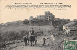 63-CHATEAUGAY-LE CHÂTEAU-N°2046-E/0013 - Sonstige & Ohne Zuordnung