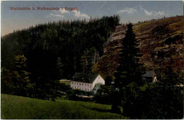Waldmühle Bei Wolkenstein Im Erzgebirge - Wolkenstein