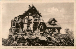 Herrnskretschen - Das Wasserspielwerk Im Hotel Zur Mühle - Böhmen Und Mähren