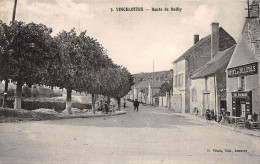 89-VINCELOTTES-ROUTE DE BAILLY-N°2049-B/0009 - Other & Unclassified