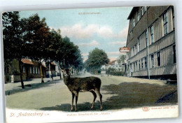 51030506 - Zahme Hirschkuh - Sonstige & Ohne Zuordnung