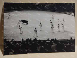 France 1967 Photo Corrida Course De Taureaux. Arenes BEAUCAIRE. - Europe