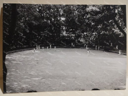 France 1967 Photo Corrida Course De Taureaux. Arenes BEAUCAIRE. - Europe