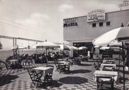 Hotel Ristorante Pensione Torelli Ceriale - Altri & Non Classificati