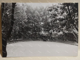 France 1967 Photo Corrida Course De Taureaux. Arenes BEAUCAIRE. - Europa