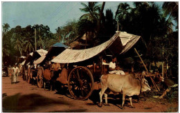 Malacca - Bullock Carts - Malasia