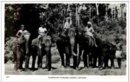 Ceylon - Elephant Parade Kandy - Sri Lanka (Ceylon)