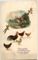 Hühner - Chicken - Vögel