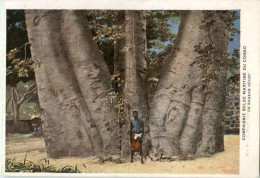 Congo - Un Baobab Giant - Sonstige & Ohne Zuordnung