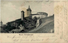 Schaffhausen - Schaffhouse