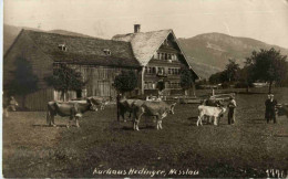 Nesslau - Cow Kühe - Nesslau