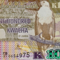 Zambia. 100 Kwacha. 2021. African Fish Eagle. P.61. FB/21 Prefix. Crisp UNC - Zambie