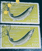 Stamps Errors Romania 1960 # MI 1933 Fishes Printed With Circle Between Letters, Circle Sky Between Lines Used - Abarten Und Kuriositäten