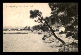 83 - LE LAVANDOU - VUE A TRAVERS LES PINS - Le Lavandou