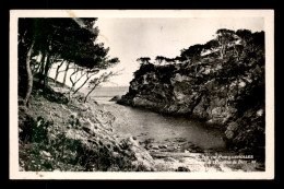 83 - PORQUEROLLES - CALANQUE DE LOUSTAOU DE DIOU - Porquerolles