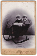 Fotografie Herm. Hampel, Schönlinde, Portrait Zwei Kinder In Winterkleidung Mit Muff In Einem Schlitten  - Anonymous Persons