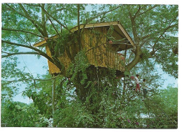 A TREE HOUSE.- ZAMBOANGA CITY.-  ( PHILIPPINES / FILIPINAS ) - Filippine