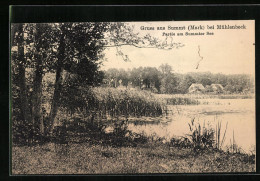 AK Summt /Mark, Partie Am See  - Sonstige & Ohne Zuordnung