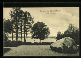 AK Saarow, Scharmützelsee, Platz Am Stein  - Bad Saarow