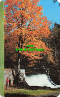 R575293 Old Mill Pond Dam. Richard K. Dean. Dexter Press - World