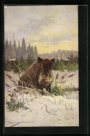 Künstler-AK M. Müller Jun.: Wildschwein In Winterlicher Landschaft  - Other & Unclassified