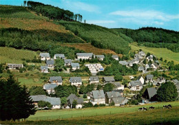 73942557 Silbach__Winterberg_Hochsauerlandkreis Panorama - Winterberg