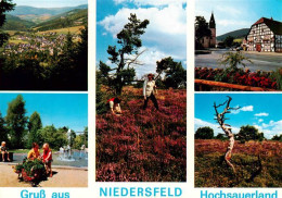 73942555 Niedersfeld_Winterberg Panorama Heidelandschaft Fachwerkhaus Schwimmbad - Winterberg