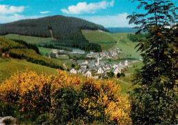 73942496 Silbach__Winterberg_Hochsauerlandkreis Bergfreiheit Panorama - Winterberg