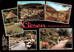 73942453 Liesen_Hallenberg_Hochsauerland Gasthof Pension Pfaender Panorama Liese - Other & Unclassified