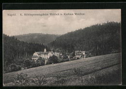 AK Nagold, K. Militärgenesungsheim Waldeck Und Kurhaus Waldlust  - Nagold