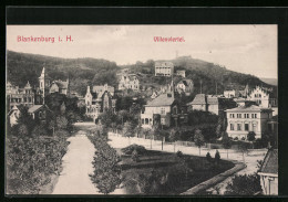 AK Blankenburg I. H., Villenviertel Mit Strassenpartien  - Blankenburg