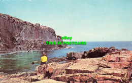 R575639 Bald Head Cliff. Ogunquit. Maine. David Snyder. Dexter Press. Eastern Il - Monde