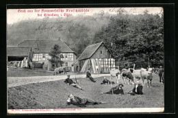 AK Eisenberg I. Thür., Sommerfrische Hof Froschmühle  - Eisenberg