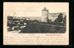 AK Nischni-Nowgorod, Teilansicht Mit Burg  - Russia