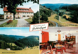 73645216 Schlopp Pension Zum Schlossgut Rauschbachtal Steinachtal Gaststube Schl - Sonstige & Ohne Zuordnung