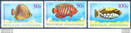 Fauna. Pesci 1972. - Indonésie