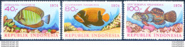 Fauna. Pesci 1974. - Indonésie