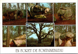 2-5-2024 (3 Z 40) France - Forêt De Fontanebleau (posted In 1996 With Evry Cathédrale Stamp) - Fontainebleau