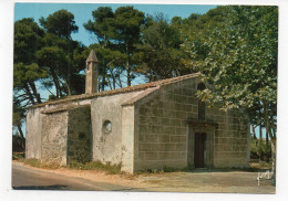 34 - Notre-Dame Du GRAU-d'ADGE - La Chapelle De L'Aganouillade  (L5) - Agde