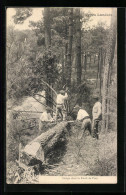 AK Landes, Types Landais, Coupe Dans La Forêt De Pins, Forstwirtschaft  - Sonstige & Ohne Zuordnung